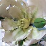 Magnolias - ChikiCakes