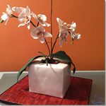 Tarta Maceta de Orquideas