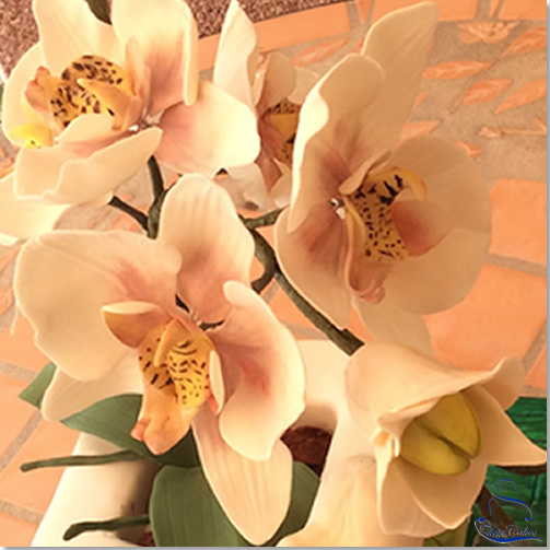 Tarta Maceta de Orquídeas