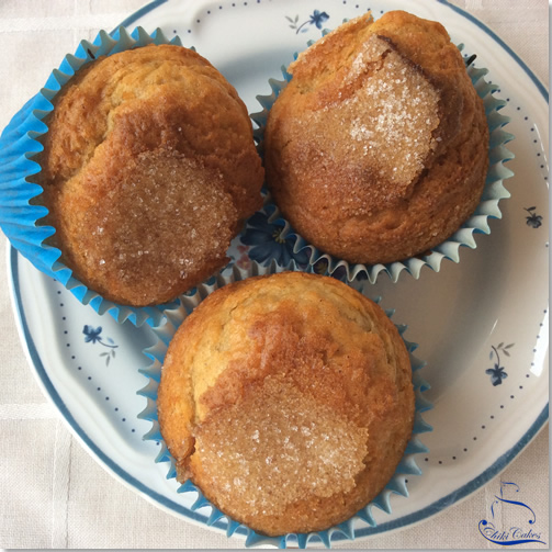 Magdalenas de Canela y Naranja