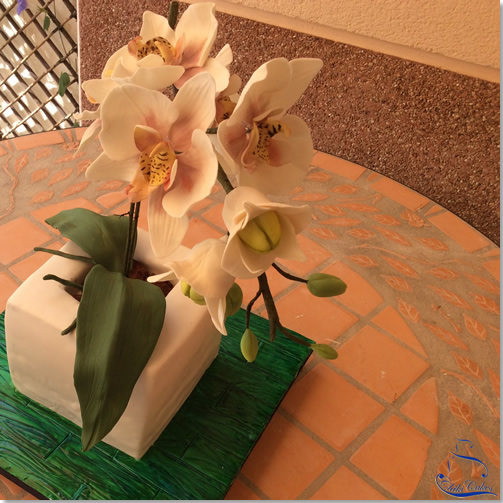 Tarta Maceta de Orquídeas