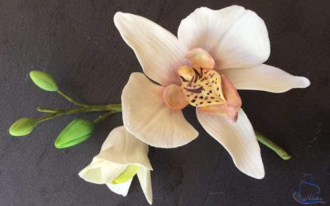 Modelado de Flores